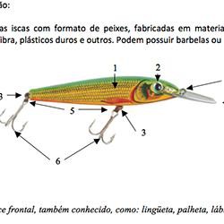 Livro A Pesca com Iscas Artificiais