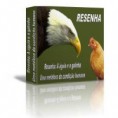 E-book: Resenha do livro A águia e a galinha